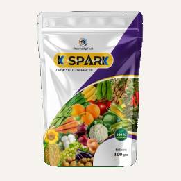 spark