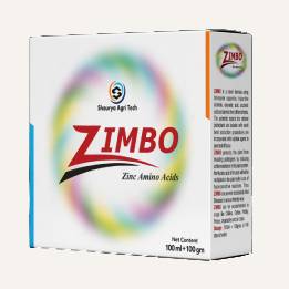 zimbo